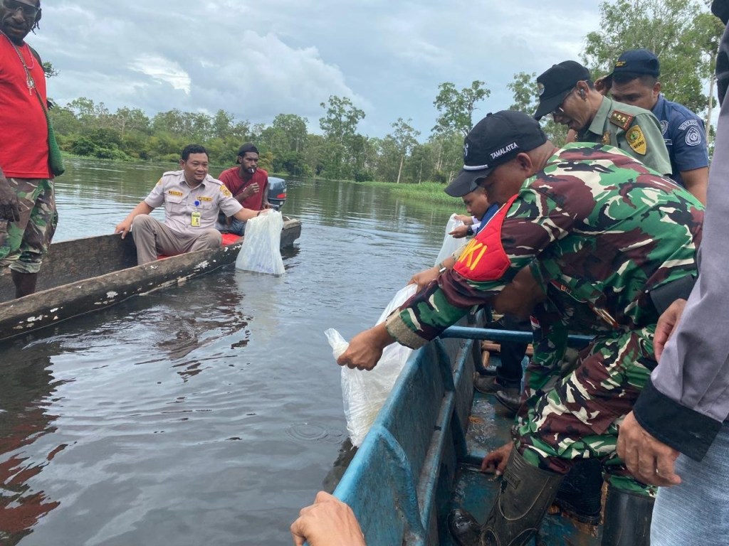 Turut Melindungi Satwa Endemik, Pos Kaliwanggo Bersama BKSDA Merauke, Lepas Ikan Arwana Irian di Sungai